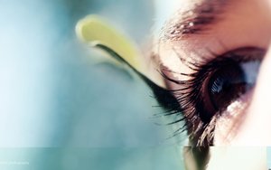 排行推荐：适合初学者的科普自然摄影教程
